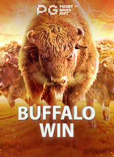 dafabet เครดิต ฟรี 2019 ที่คุณไม่ควรพลาด!